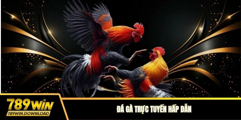 Đá gà trực tuyến hấp dẫn
