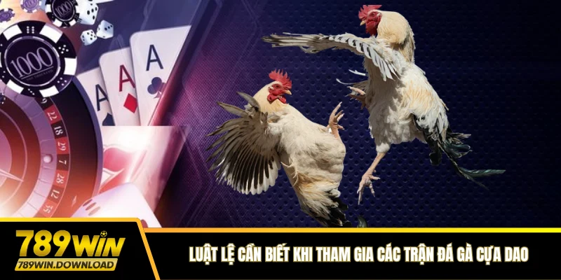 Luật lệ cần biết khi tham gia các trận đá gà cựa dao